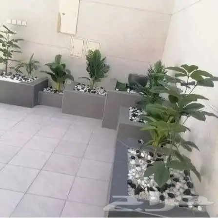 زرع طبيعي مع نخل واحواض زراعيه زرع جهنميه وفل وياسمين هندي و 3