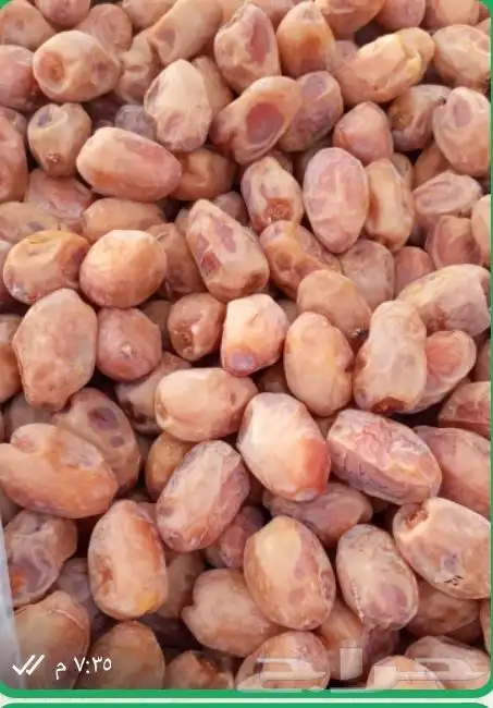 يوجد 60كرتون خلاص للبيع 1