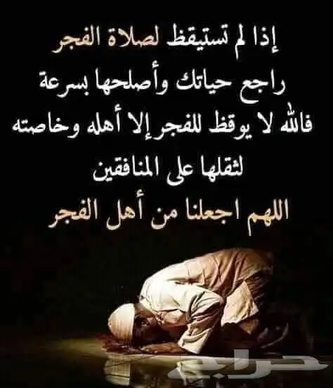 مطلوب هايلكس 0