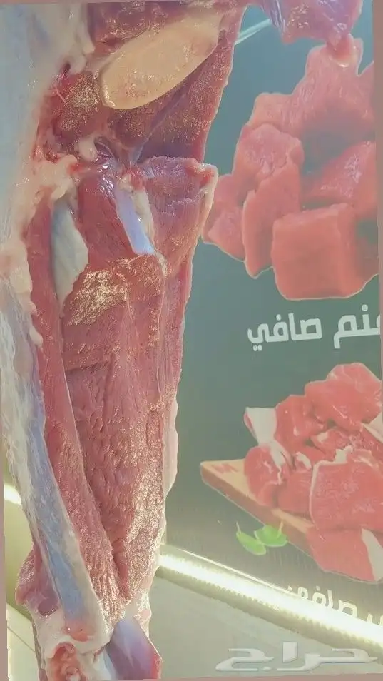 ملحمة اركان الغذاء 9