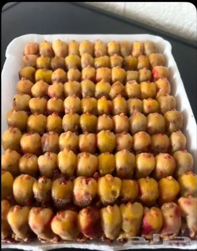 دخ ل ميه حبه ب260 0