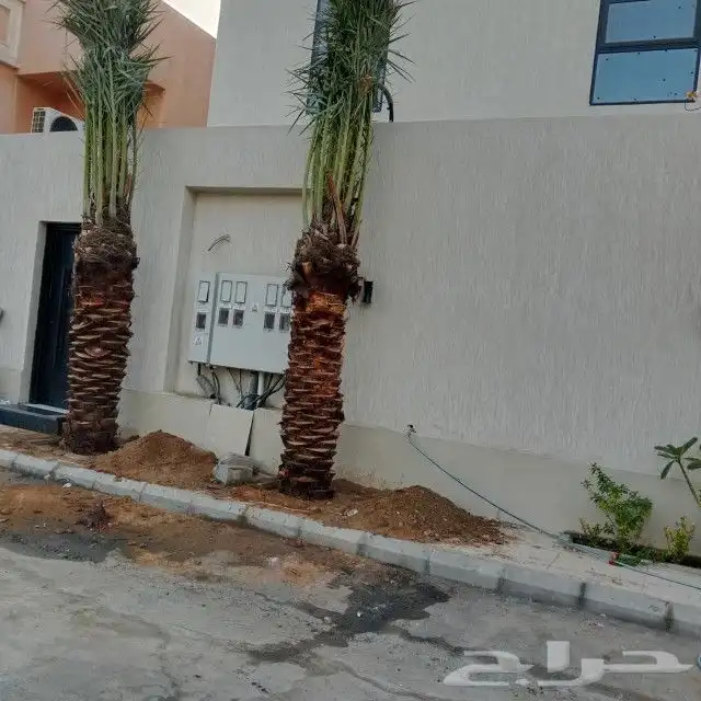 انخل للبيع جميع  النواع وجميع المقسات المختلفه دمام الجبيل 8
