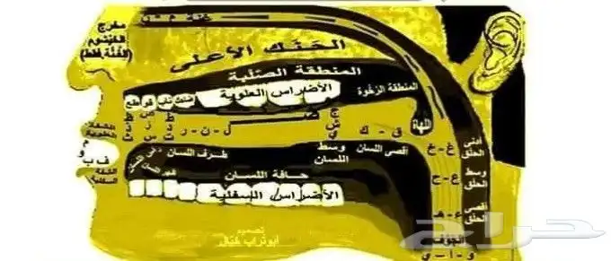 معالج النطق والكلام تعديل مخارج الحروف و الدغات 0