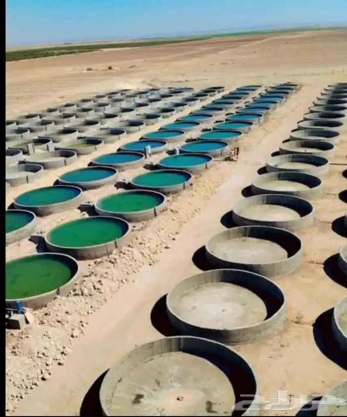 خزنات دايري مبروم خق مياه مزرعه اواسترخت 1