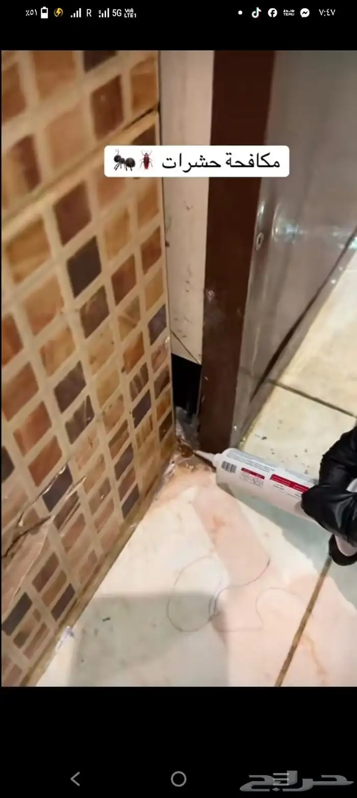 مكافحه حشرات بالدمام والخبر 4