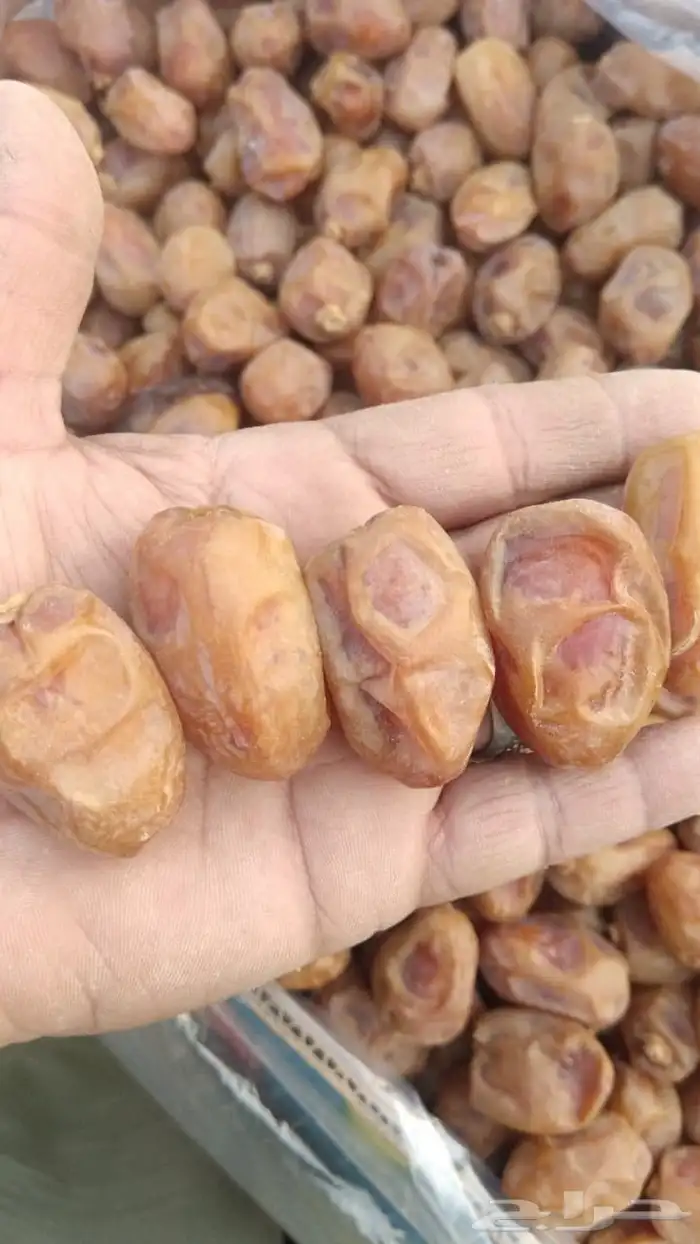 سلام عليكم اليوم عندنا اتمر الفخر وعندنا مكسرت حلوه وعجين 6