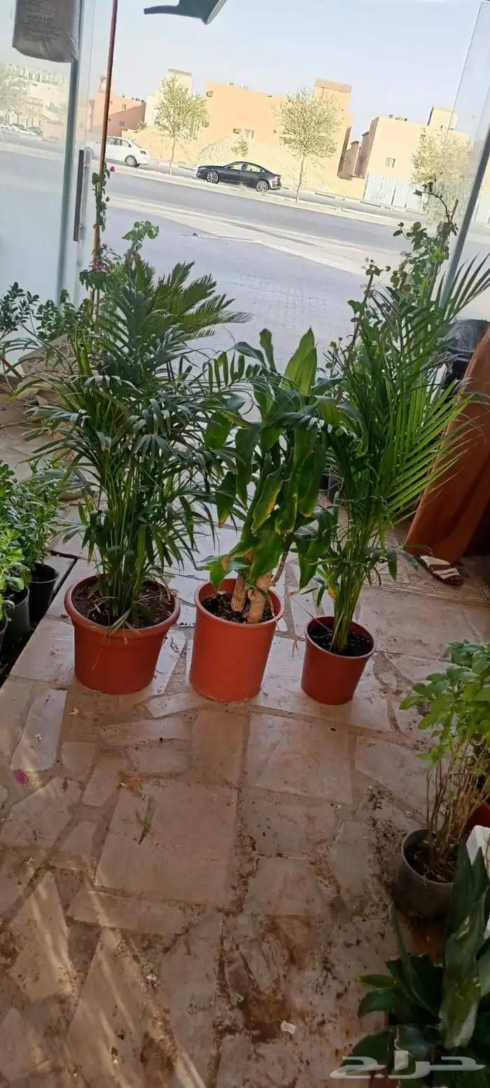 منسق حديق وتركيب جميع شبكات الري العادي والاتمتك 2