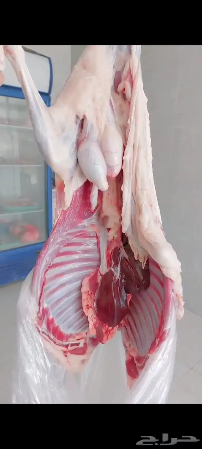 ملحمة النسيم ومزارع بلدي خرفان تيوس يوجد توصيل 0