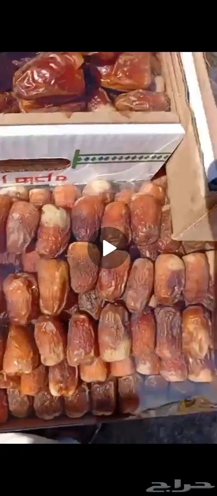 لبيع صقعي ناشف ولين معرم كليوين واربع طيب. تواصل تواصل 1