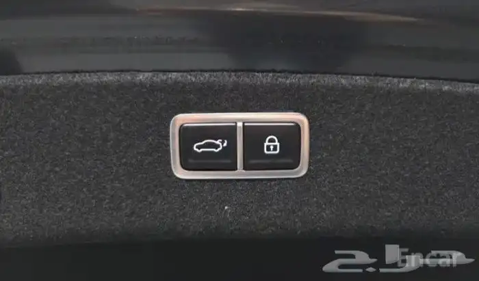 جنسس جي 80 GENESIS G80 2024 19