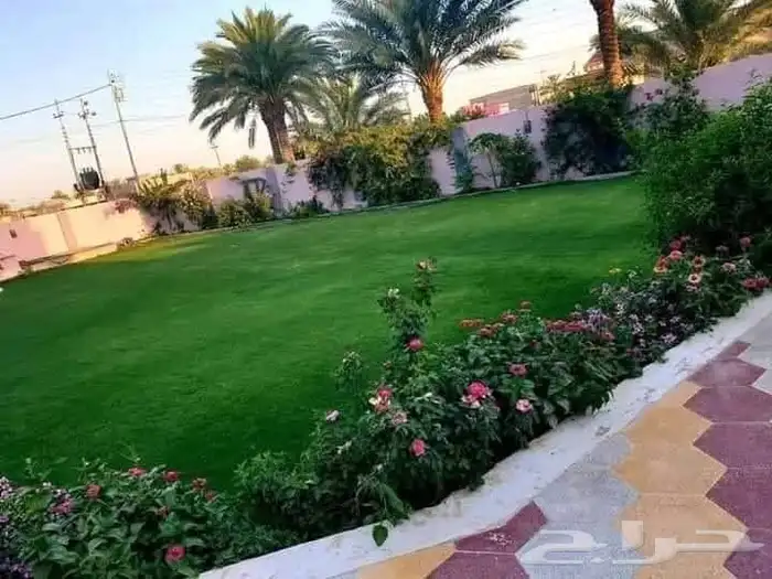 م ابو احمد تنسيق حدائق وتركيب جميع انواع الثيل الصناعى والطب 2