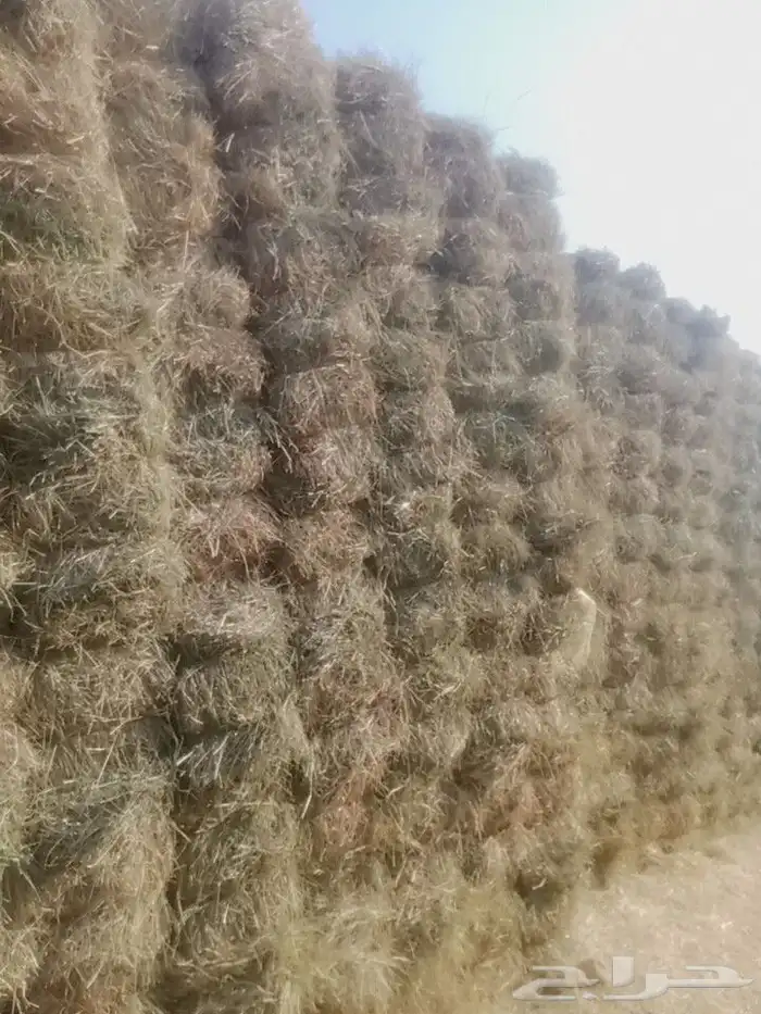 سلام عليكم ورحمة الله وبركاته 2