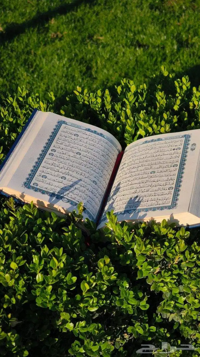 قران كريم بالتجويد اونلاين 0