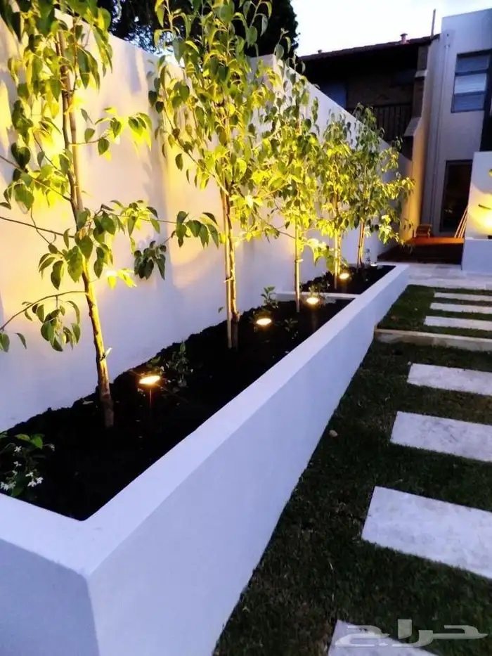 زرع طبيعي مع نخل واحواض زراعيه زرع جهنميه وفل وياسمين هندي و 8