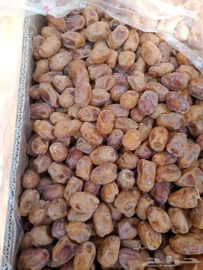 سلام عليكم اليوم عندنا اتمر الفخر وعندنا مكسرت حلوه وعجين 1