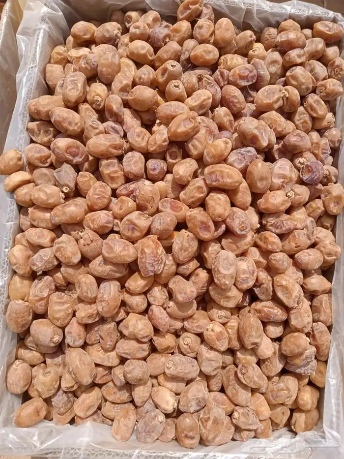 سلام عليكم اليوم عندنا اتمر الفخر وعندنا مكسرت حلوه وعجين 0