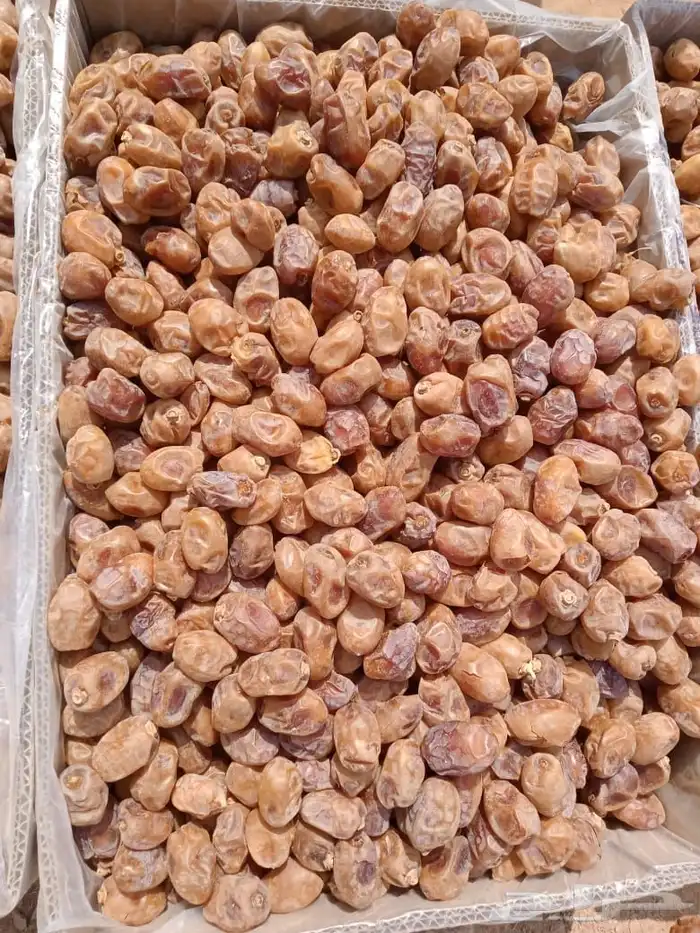 سلام عليكم اليوم عندنا اتمر الفخر وعندنا مكسرت حلوه وعجين 4
