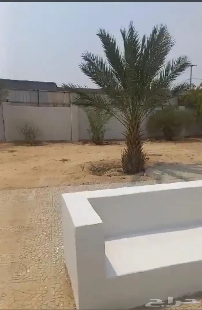 زراعه جميع انواع الاشجار والنخل والنجيل وكل مايتعلق بالزراعه 15