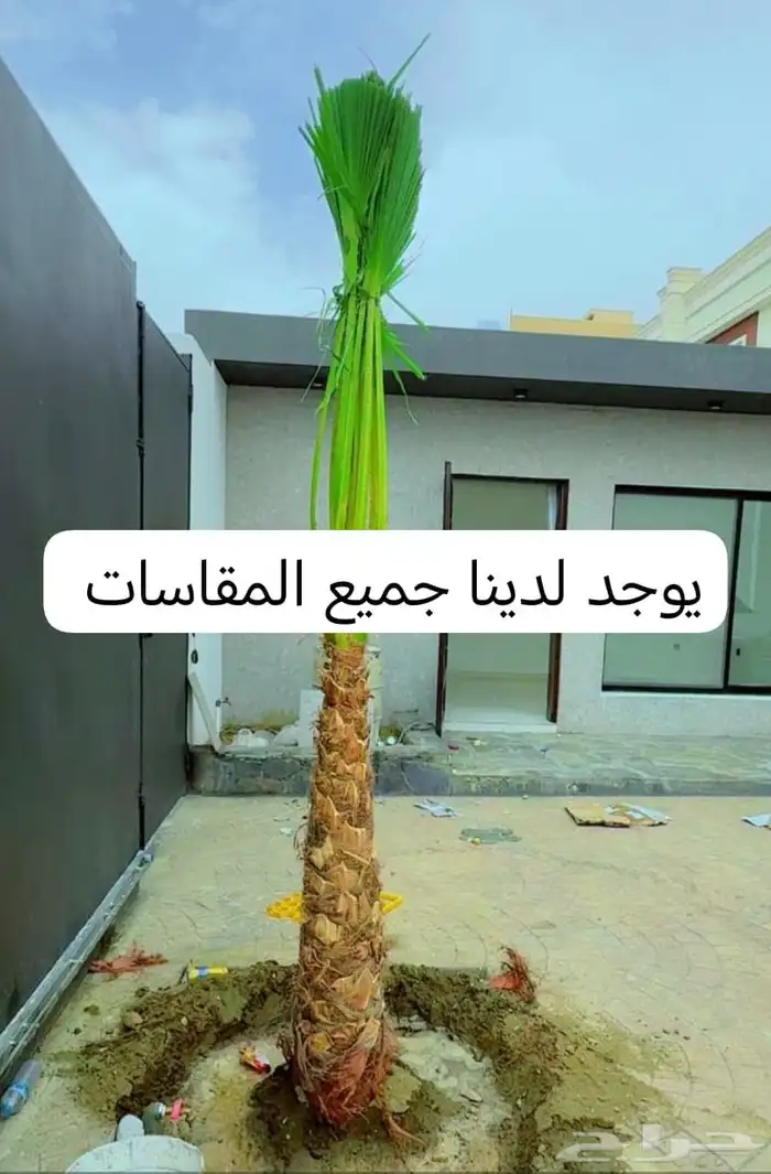 يوجد لدينا جميع انواع انخبل جميع المقاسات 5