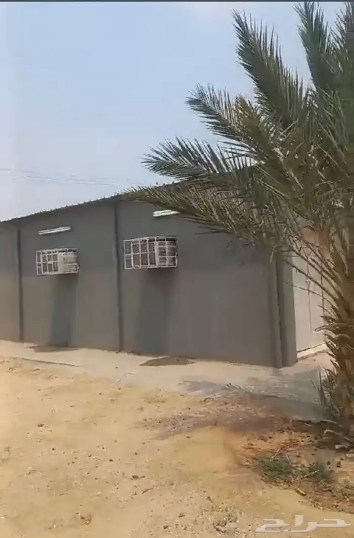 زراعه جميع انواع الاشجار والنخل والنجيل وكل مايتعلق بالزراعه 14