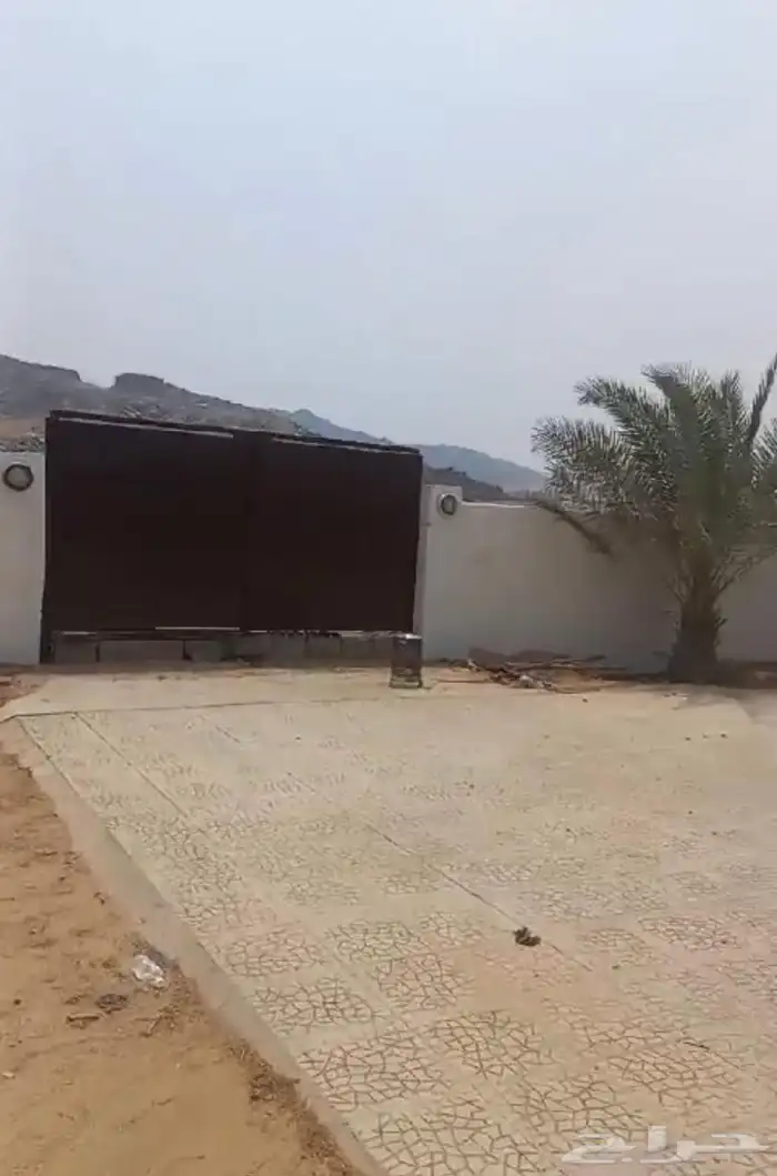 زرعه جميع انواع الاشجار والنخل والنجيل وكل ما يتعلق بالزراعه 7