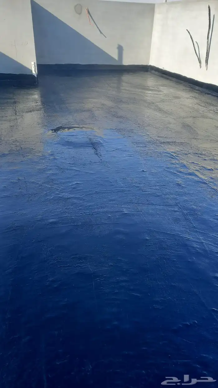 الاحساء المبرز 0