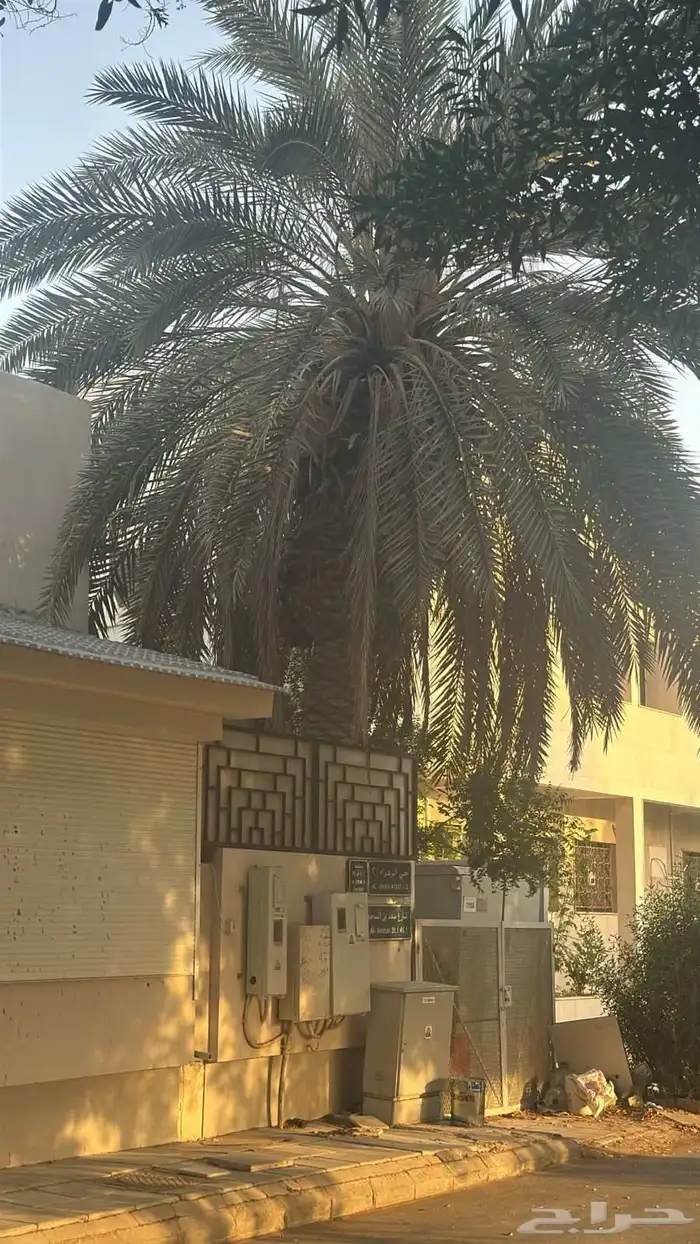 معلم قص نخل وشجر 2