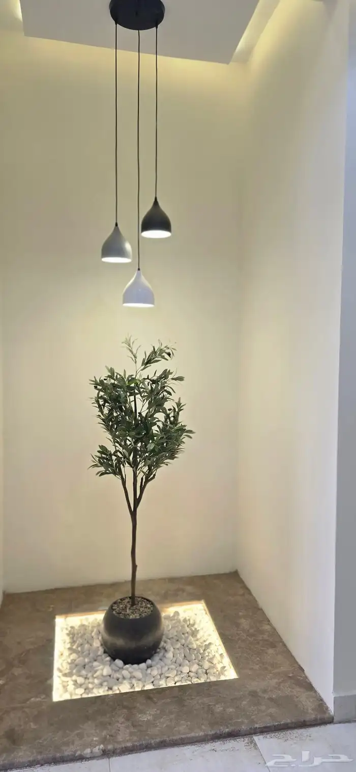 للبيع شقق علويه مدخل مستقل وسطح خاص ومصعد جاهز 4