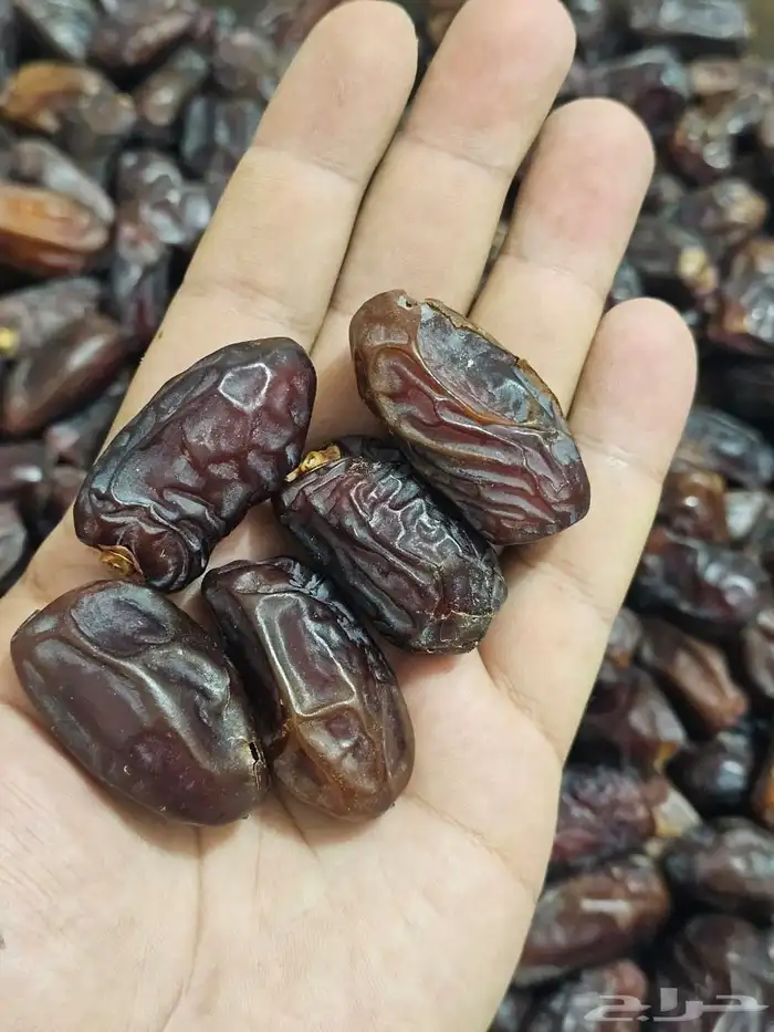 تمر خضري بالكرتون 2