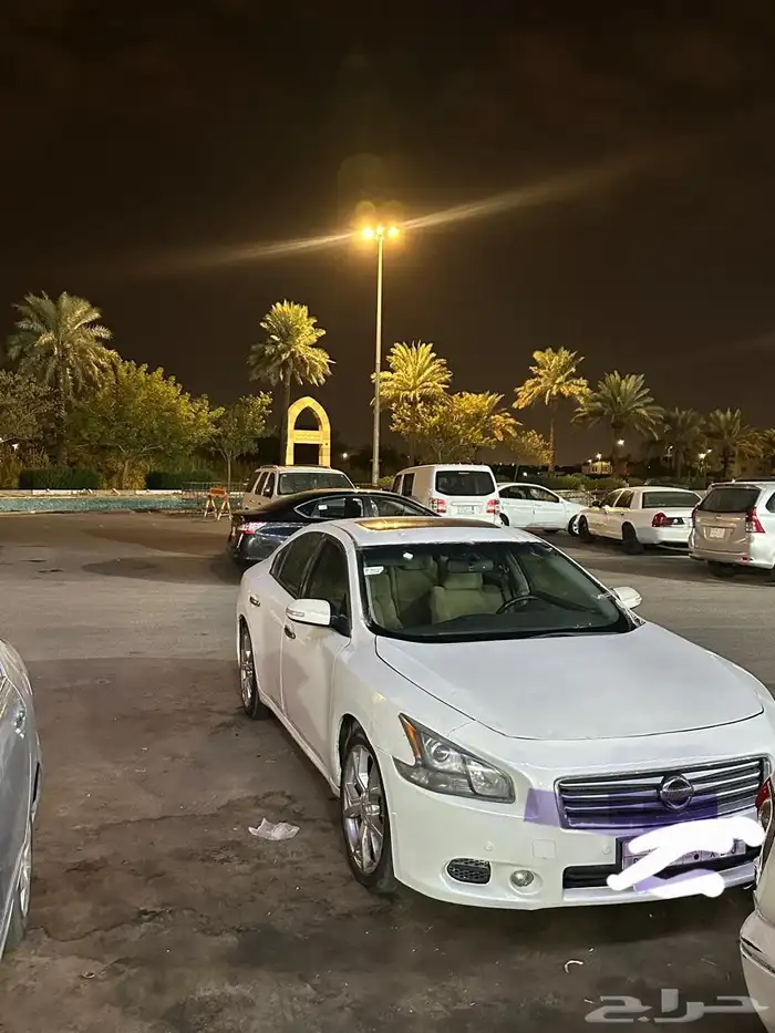 نسيان مكسيما 0