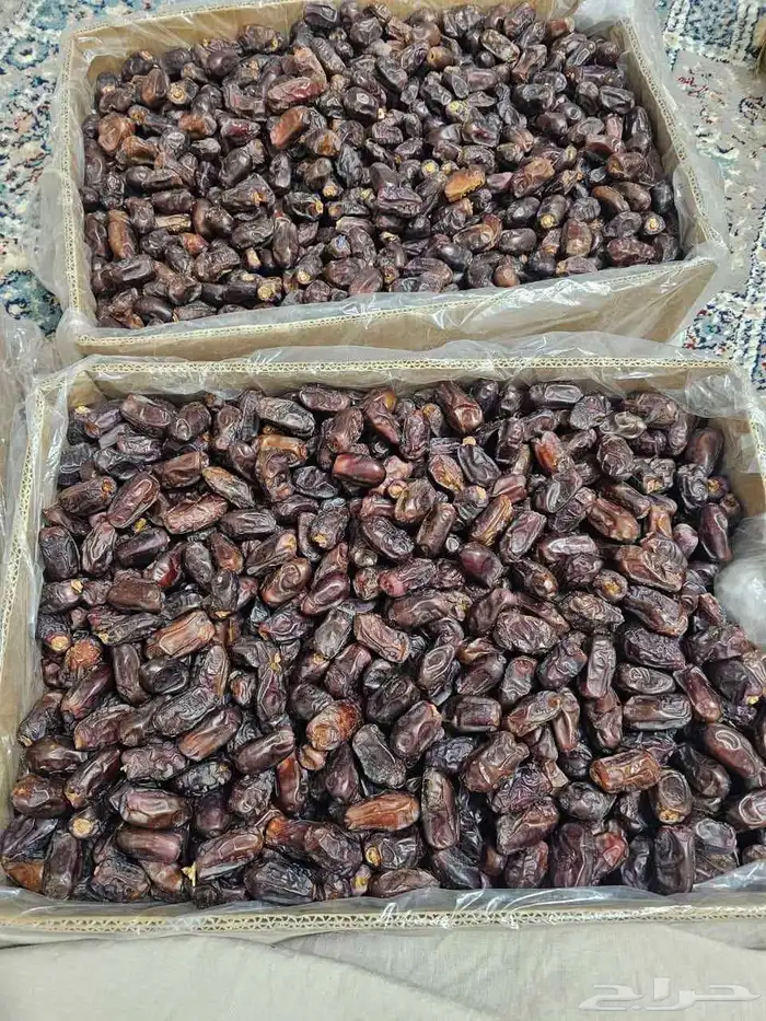 تمر خضري بالكرتون 1