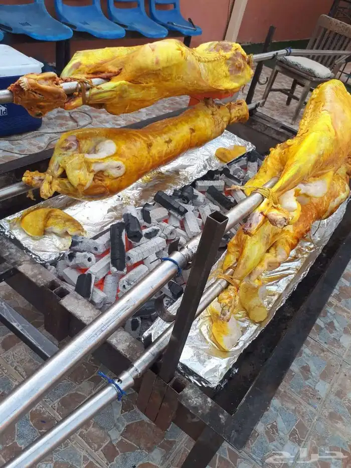 مطعم الخير يقدم خروف سيخ على الجمر 1 خروف مشوي   2   دجاج مش 0
