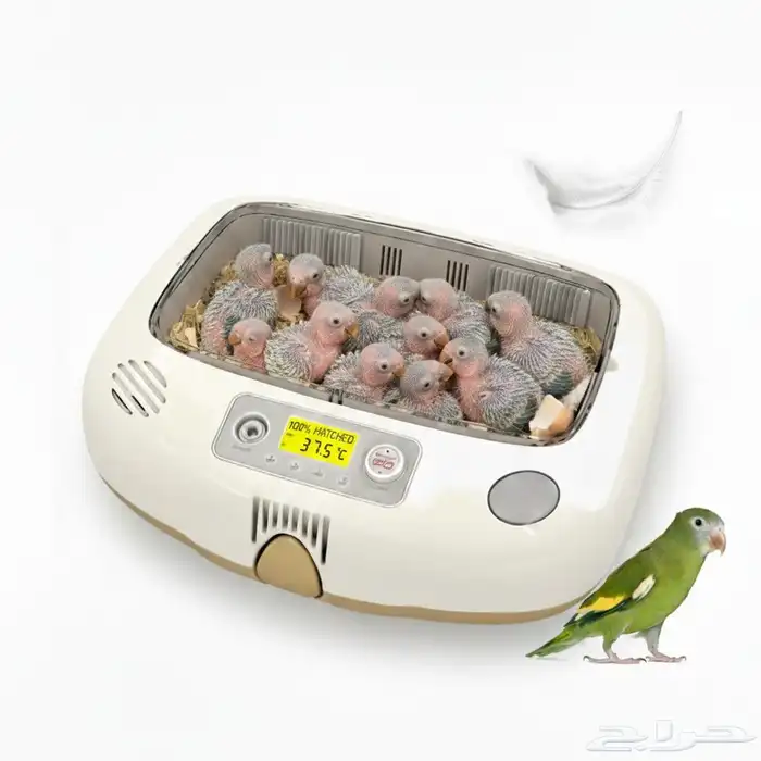 فقاسة اركوم الكوريه rcom 20 max do شحن مجاني يوجد تابي تمارا 0