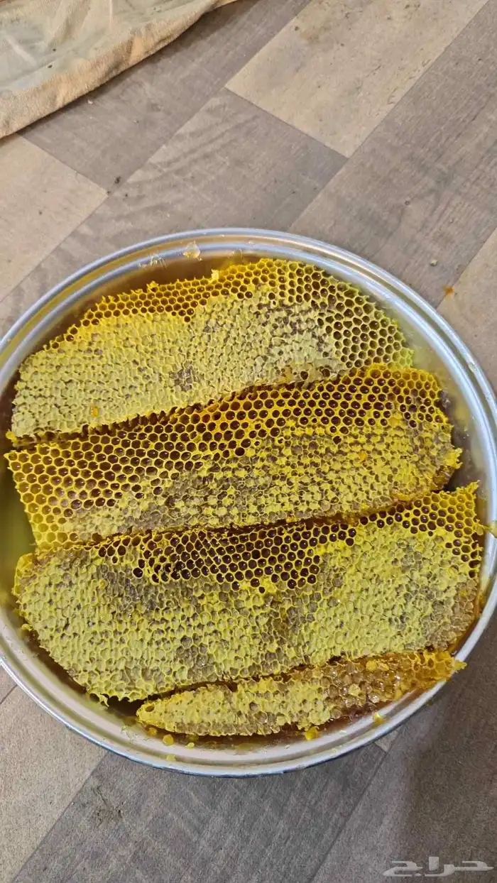 عسل قرض مع السدر 4