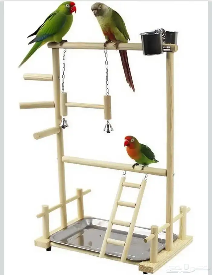 ستاند طيور جديد جودة عالية ( متوفر تابي و تمارا ) 0