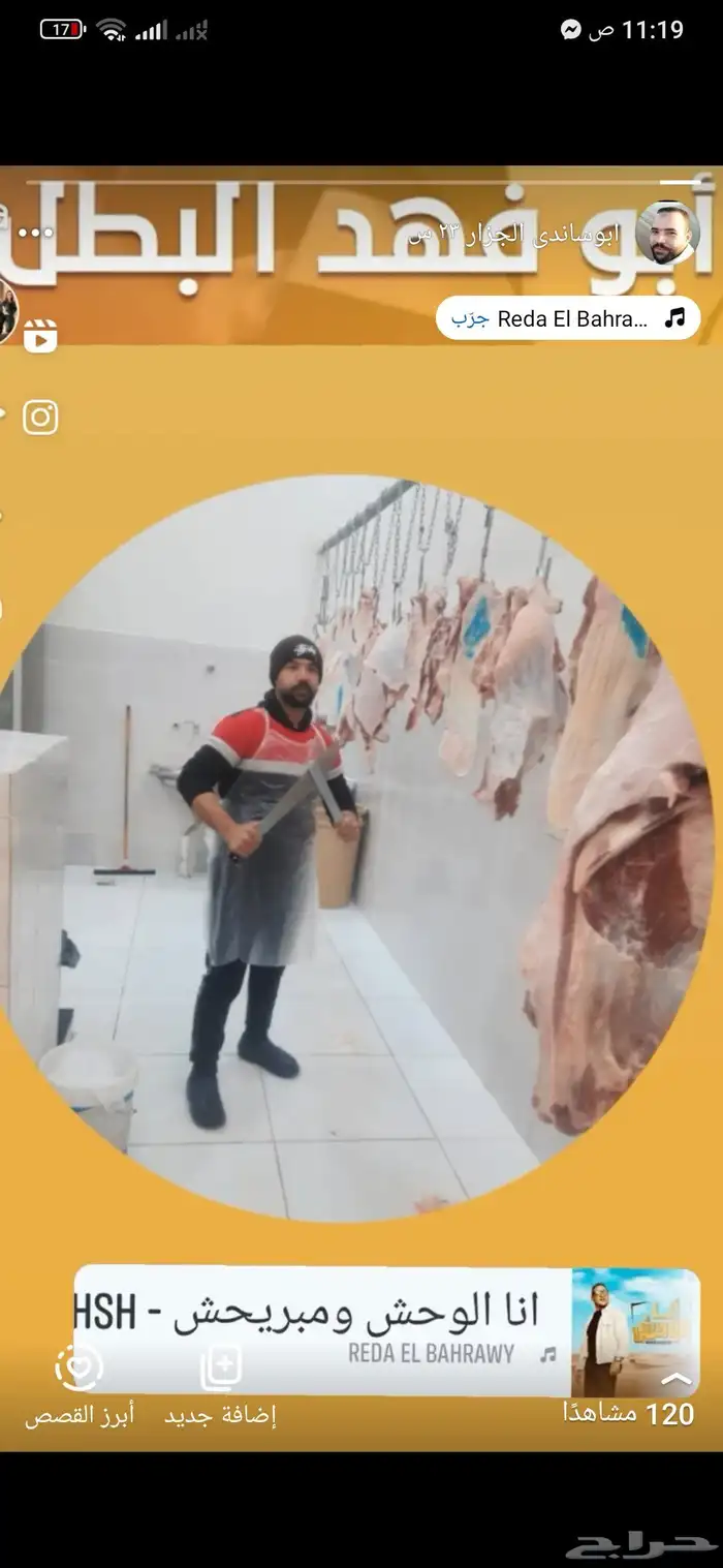 جزار حاشي 0