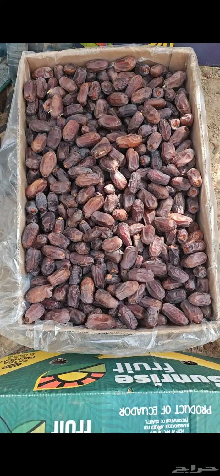 تمر خضري للبيع حوالي 1800 كرتون موز الوزن مابين 20 و 21 2