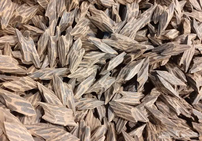 عود كمبودي تايقر درجة أولى 0