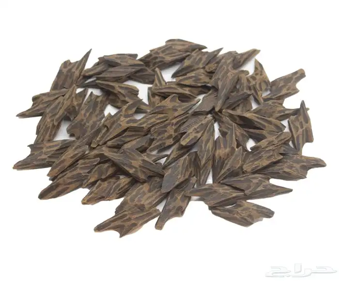 عود كمبودي تايقر درجة أولى 1