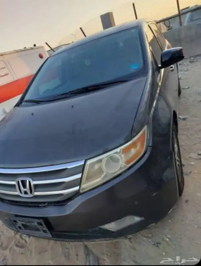 اودسي 2013 0