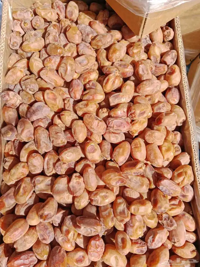 تمر إخلاص الغاط للبيع 0