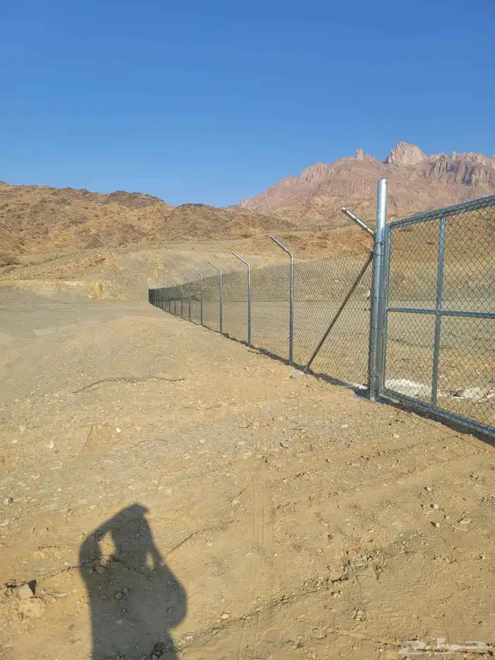 شبوك ونخيل توريد وتركيب 0
