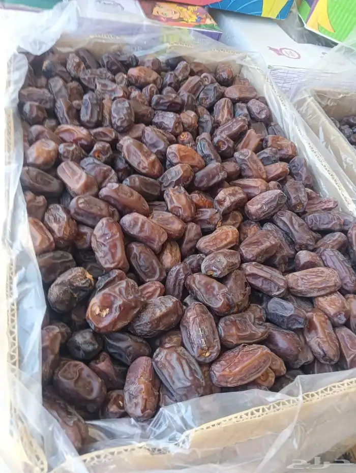 تمر خلاص ومشكلات وصقعي وخضري 1