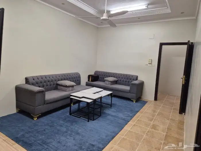 Two rooms and a hall for families  furnished 5