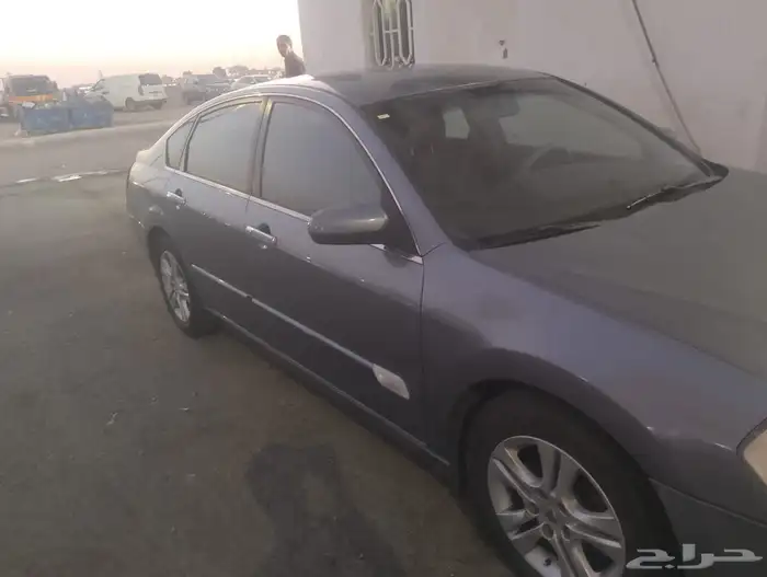 رينو سافران 2011 8
