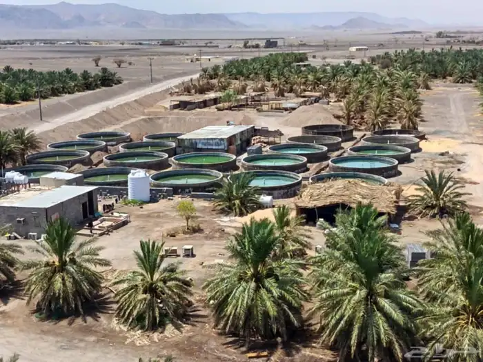 خزانات مبروم مزرعه خزانات سمك خزانات مسبخ 7