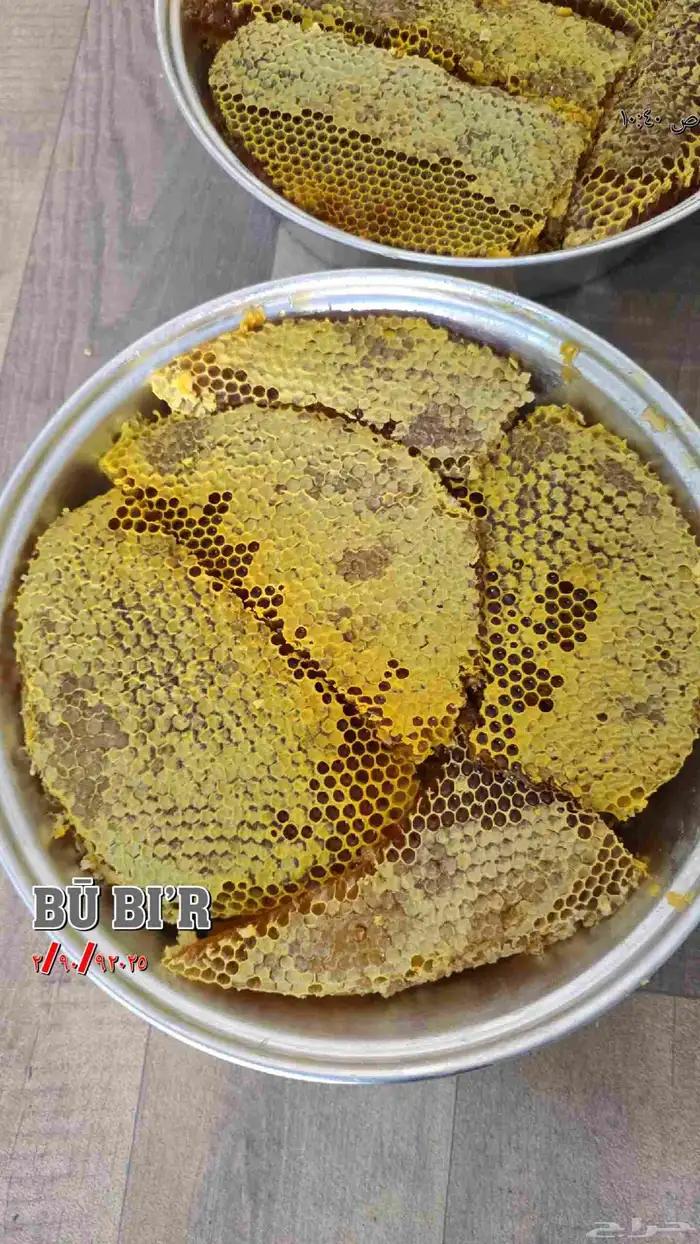 عسل قرض مع السدر 7