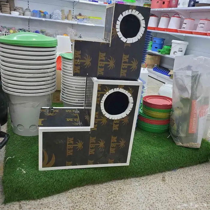 بياضات ببغاوات كاسكو امزوني 0