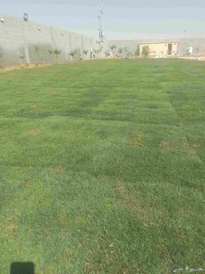 يوجدلديناجميع انواع الثيل الطبيعي الممتازمن المزرعة مباشر 0