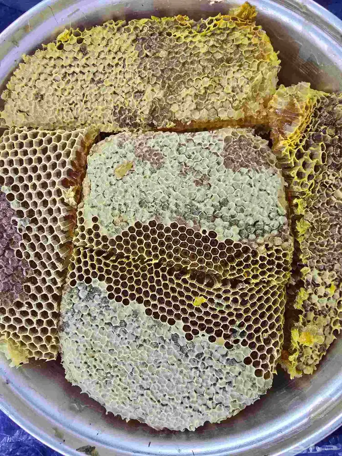 عسل قرض مع السدر 1